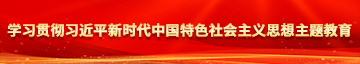 日本小说嗯嗯哦哦哦学习贯彻习近平新时代中国特色社会主义思想主题教育