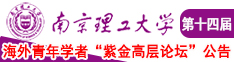 操逼操哪里南京理工大学第十四届海外青年学者紫金论坛诚邀海内外英才！